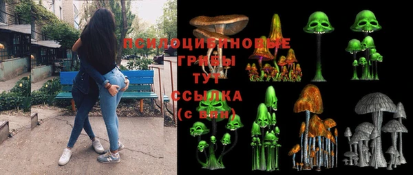 мдпв Навашино