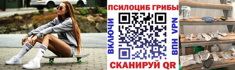 МЕГА маркетплейс Лосино-Петровский Псилоцибиновые грибы Psilocybe